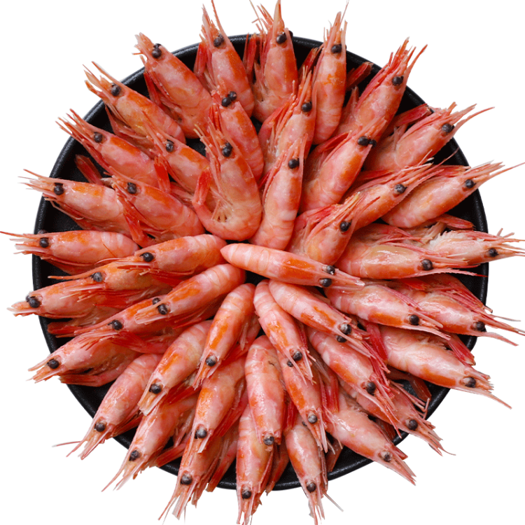 Cold-Water Shrimp北極甜蝦