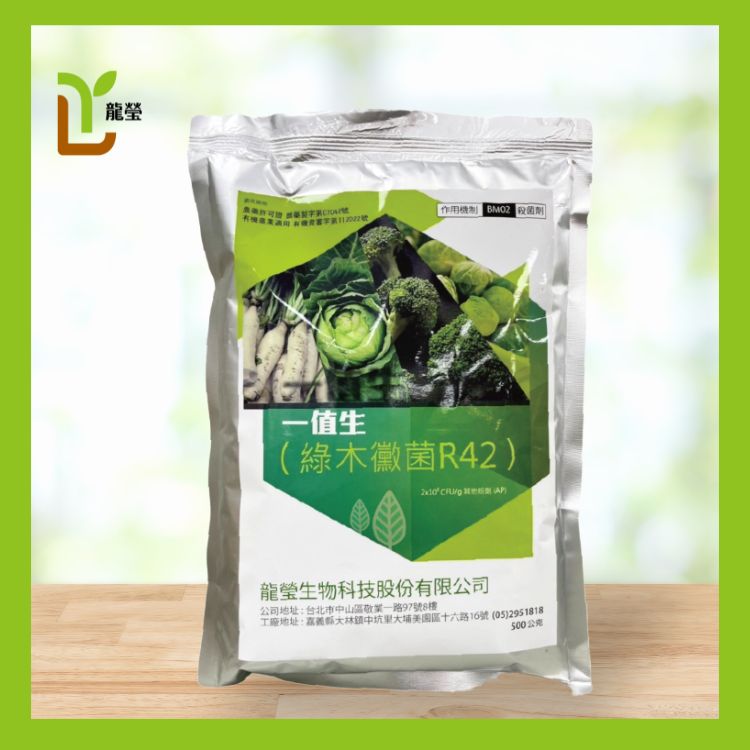 Yi Jhih Sheng（Trichoderma Virens strain R42）
