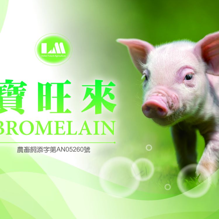 寶旺來