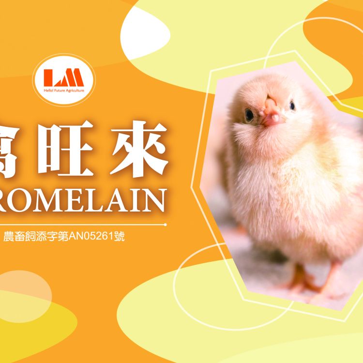 禽旺來