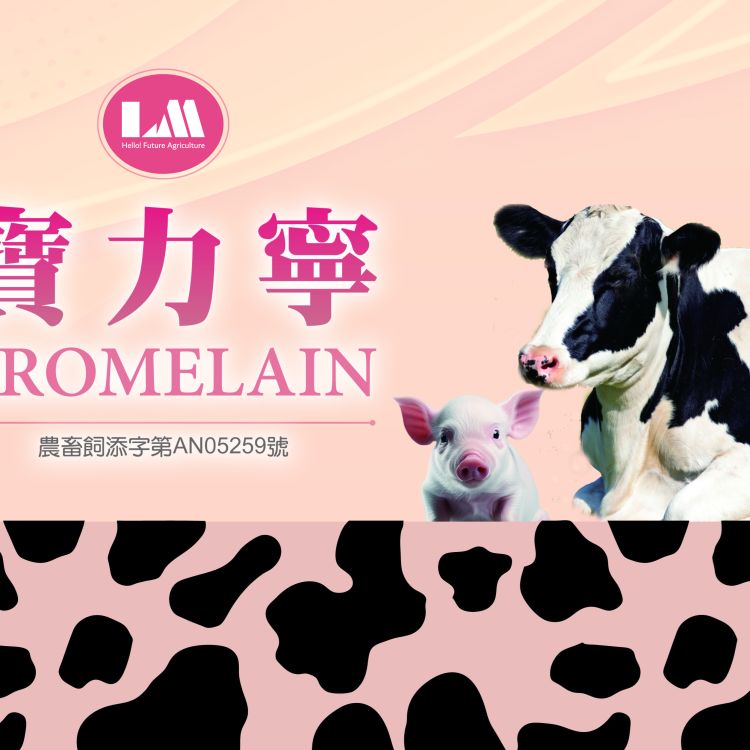 寶力寧