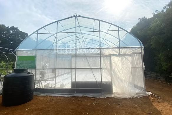 簡易型溫室