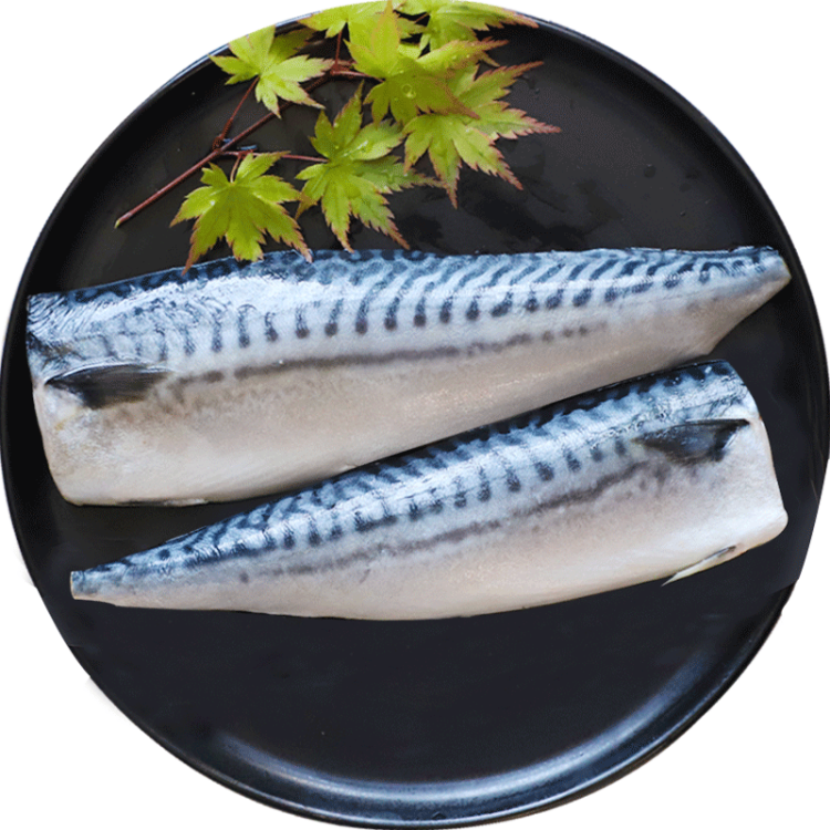 Norwegian Mackerel挪威鯖魚