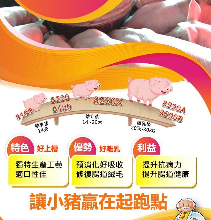 小豬三階段用料