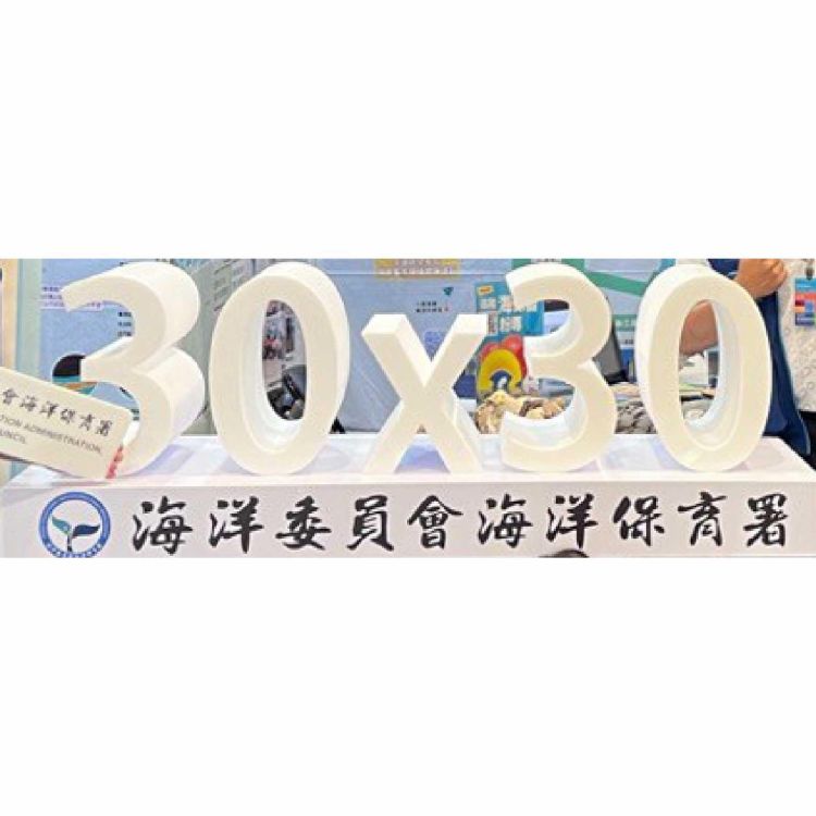 30x30立體意象裝飾