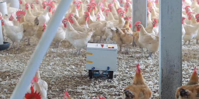 Autonomous Poultry Disturbance Robot (Patent I698173)