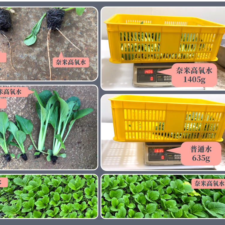 超微細氣泡產生裝置 GB5020P