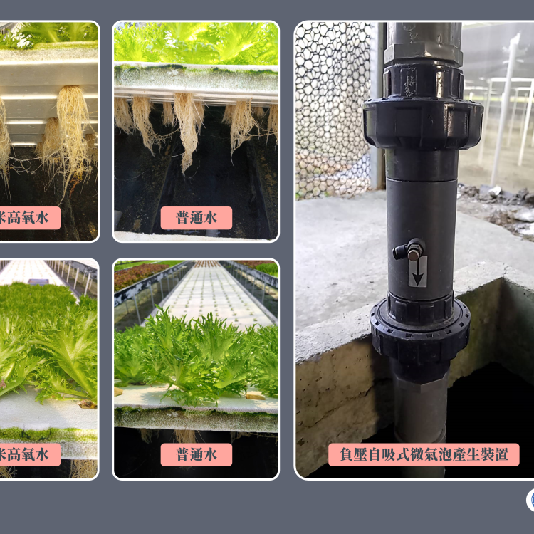 超微細氣泡裝置 GV206-P