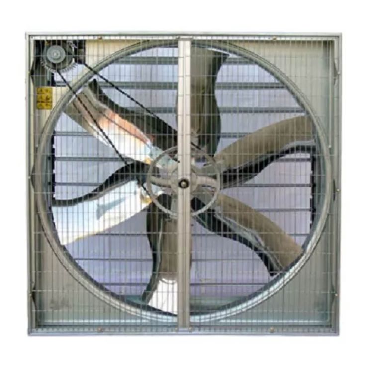 54" Belt-Drive Negative Pressure Fan