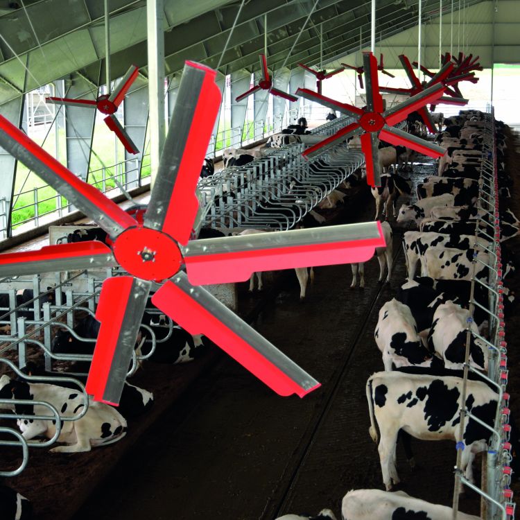 側吹降溫高速風扇 CMP Impianti