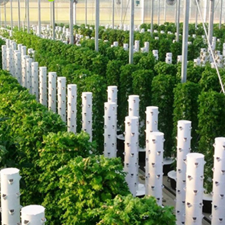 AI水霧立柱種植