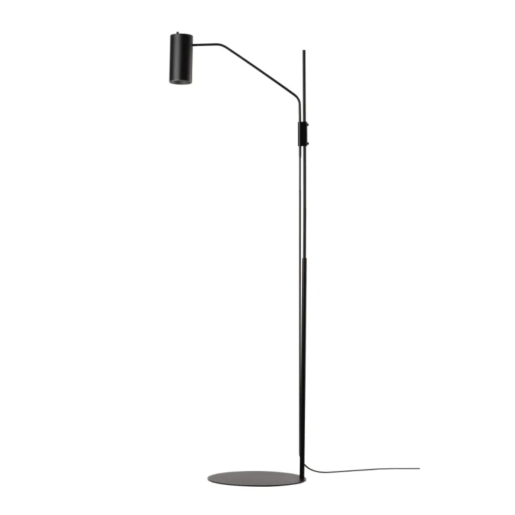50W  Dimmable Floor Lamp