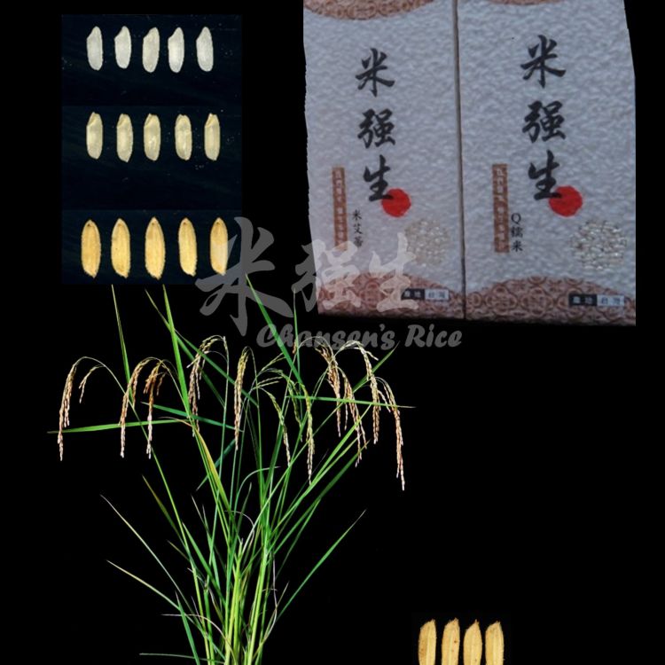 Products-Taiwan Smart Agriweek