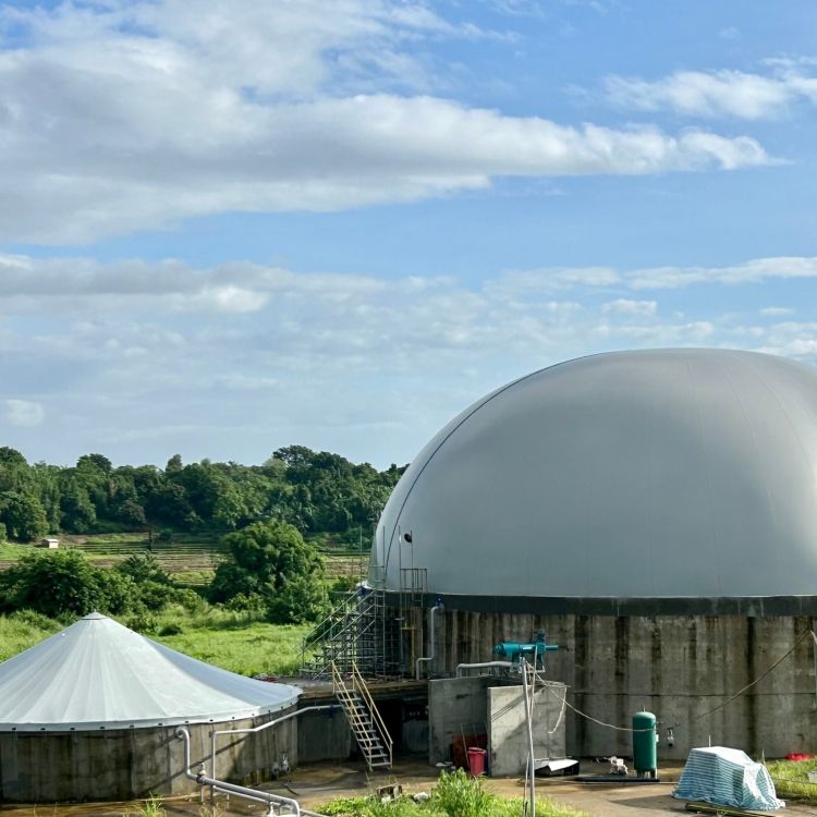 Denmark  Combigas 52°C High-Temperature Biogas Power Generation System