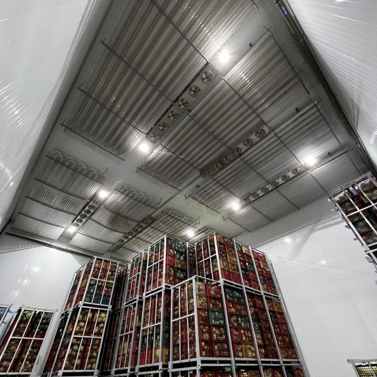 高濕度高麗菜儲存倉