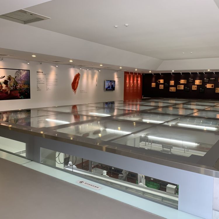 肉品屠宰觀光工廠