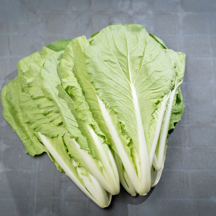 有機鵝白菜 (Organic Ge-Bai-Cai)