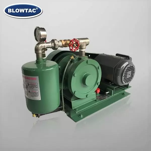 ROTARY VANE TYPE GAS BLOWER