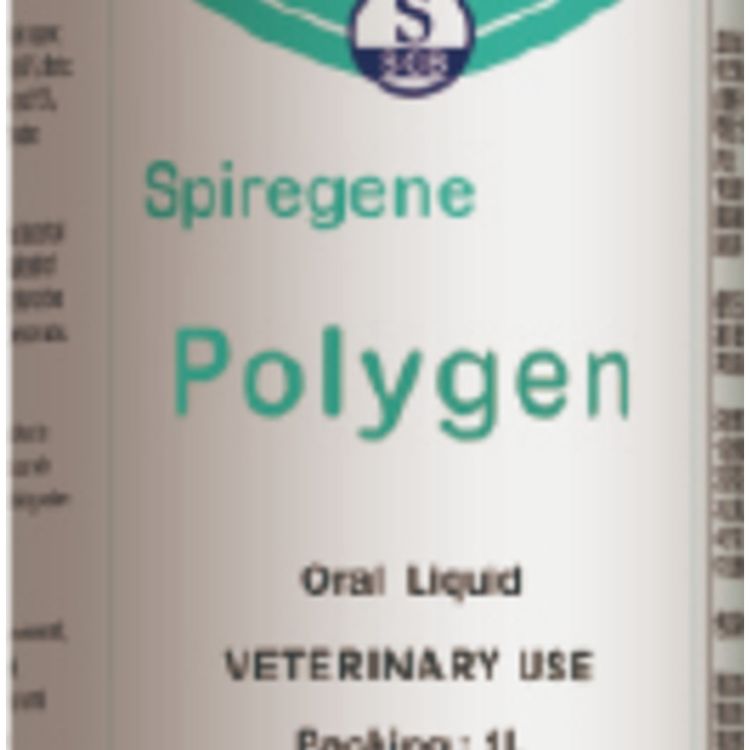 寶力精 Polygen