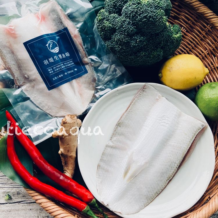 純海水無刺虱目魚肚