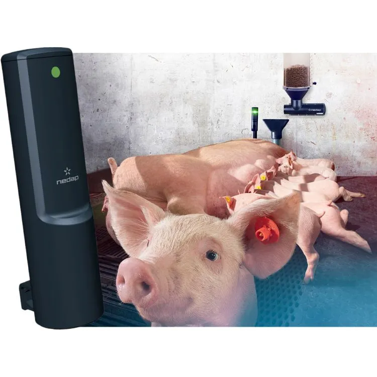 母豬產床個體智能餵飼 Freeda Location Feeding