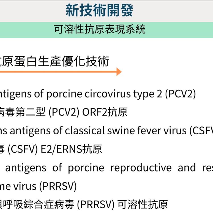 可溶性抗原表現系統
