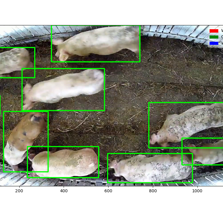 Innoko Camera pig counting