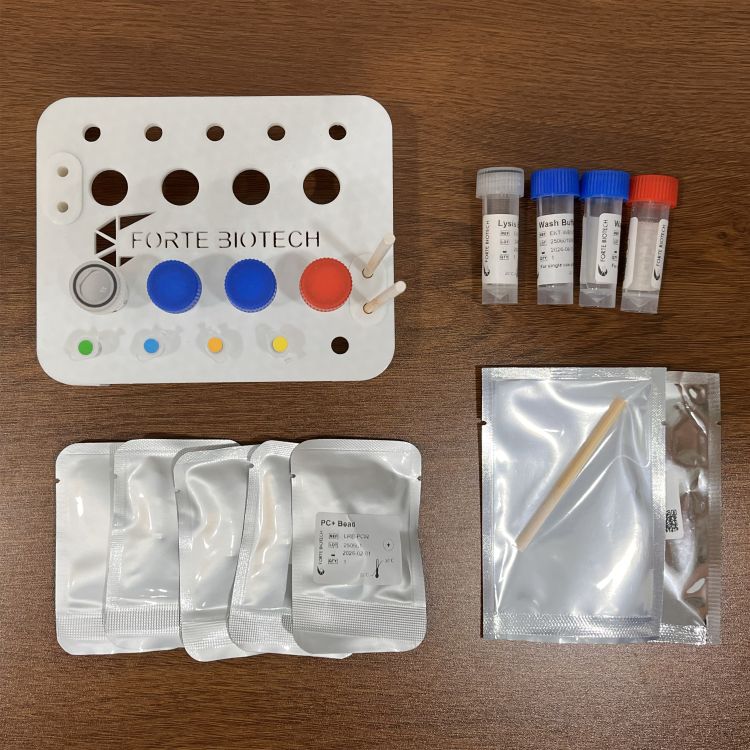 RAPID Test Kits