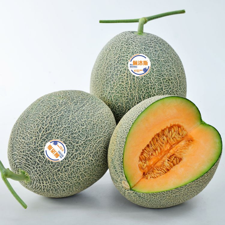 佩洛斯甜瓜種苗