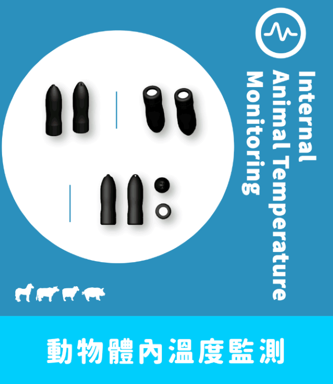 動物體內溫度監測