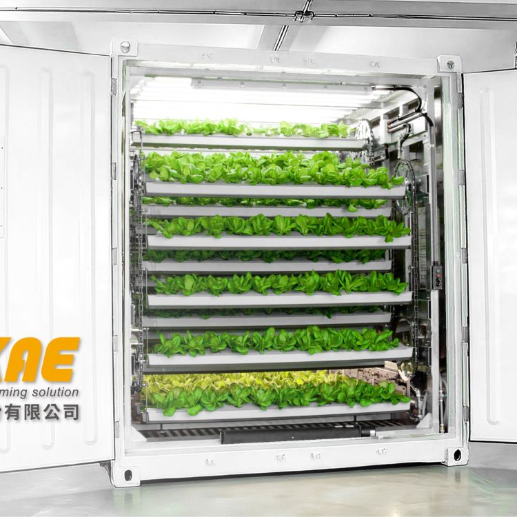 Container-Based Farming System