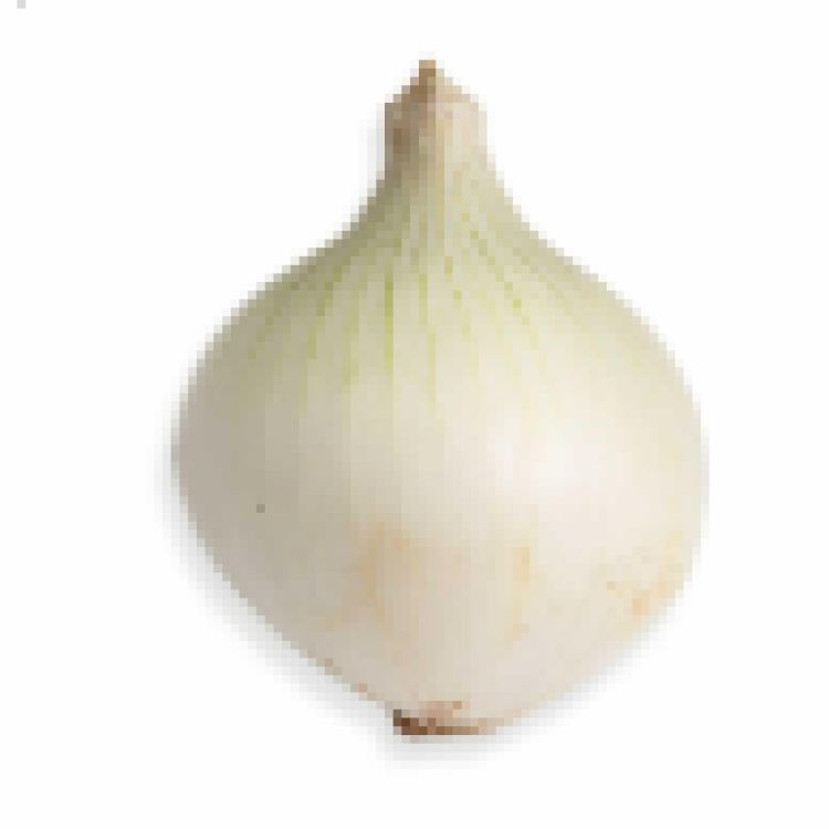 國產洋蔥