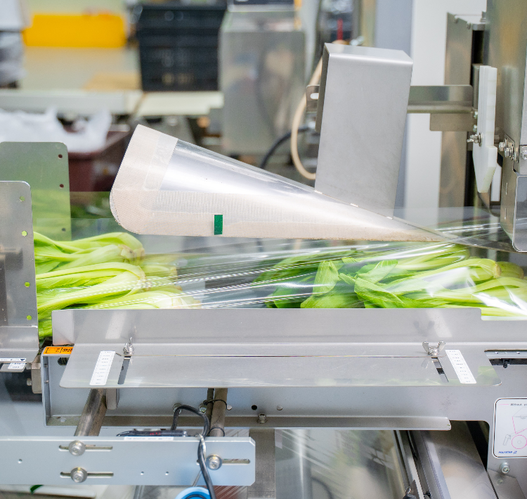 Custom packaging services