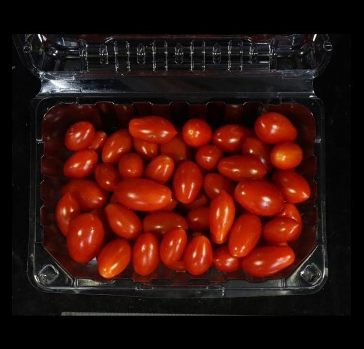 小果番茄輸新加坡標準作業流程