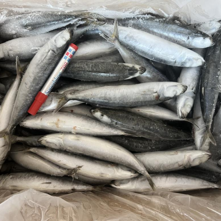 凍竹葉（四破）魚