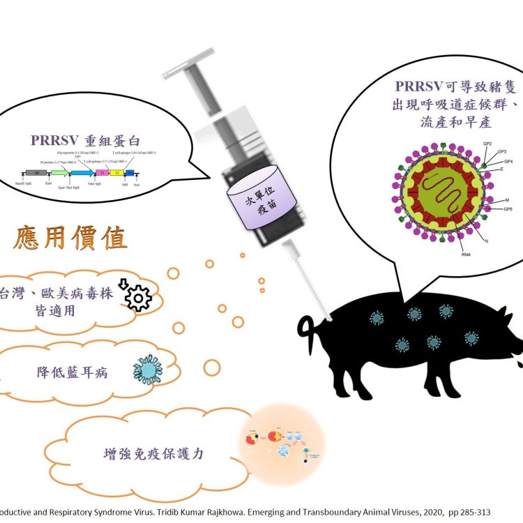 豬生殖與呼吸綜合症病毒之重組抗原及其製造方法、單離聚核苷酸及含此之組成物