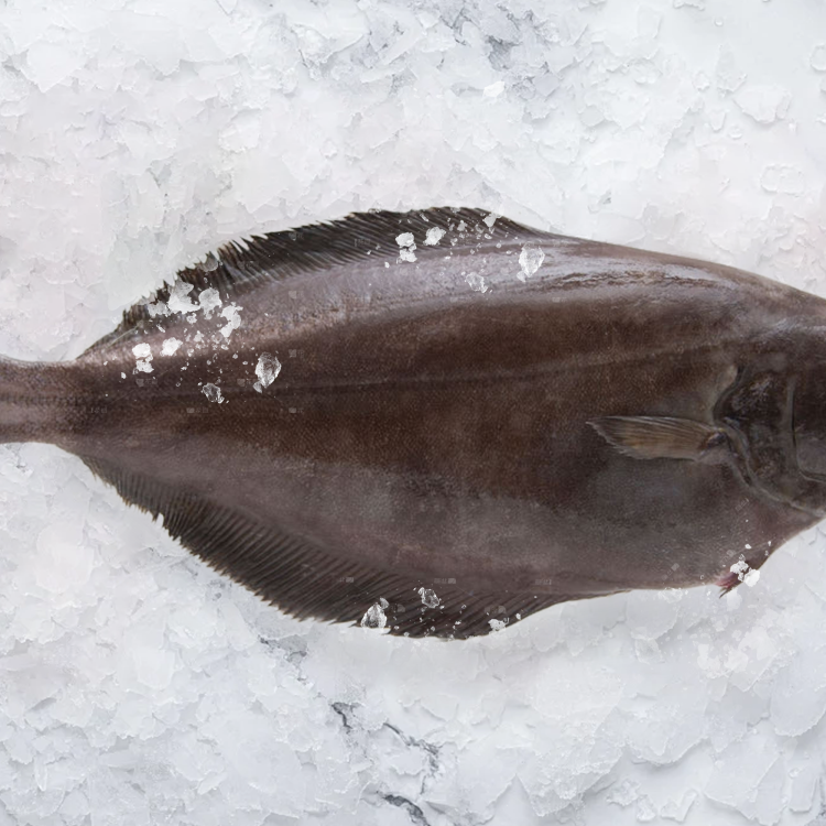Greenland Halibut格陵蘭比目魚