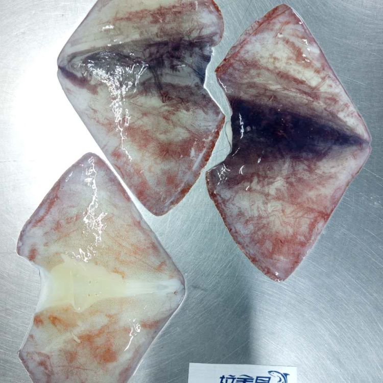 🦑秘魯大魷魚翅