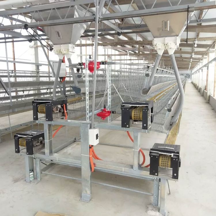 Manure Removal System