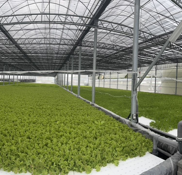 超微細氣泡裝置 GV408-P