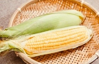 有機玉米