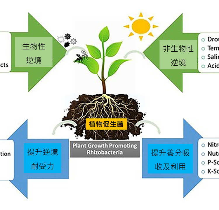 液態肥料 iquid fertilizer