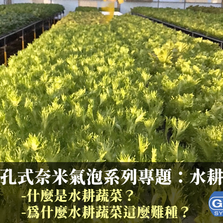 超微細氣泡裝置 GB4020