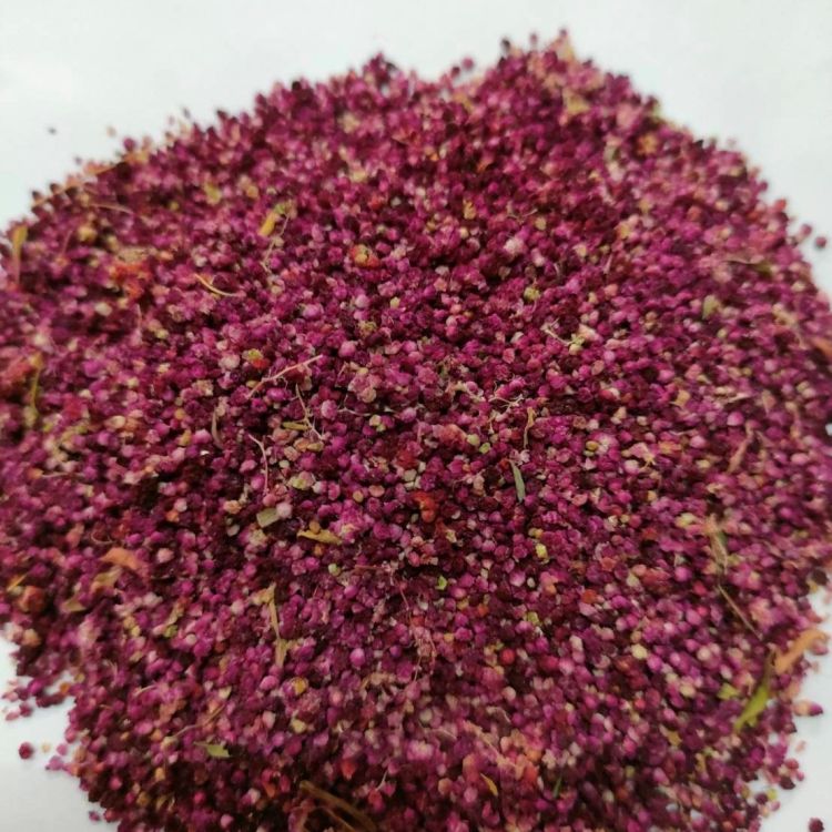 以紅藜殼防治家禽寄生蟲之研究