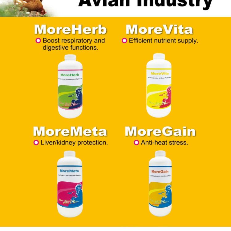 Poultry Health Liquid