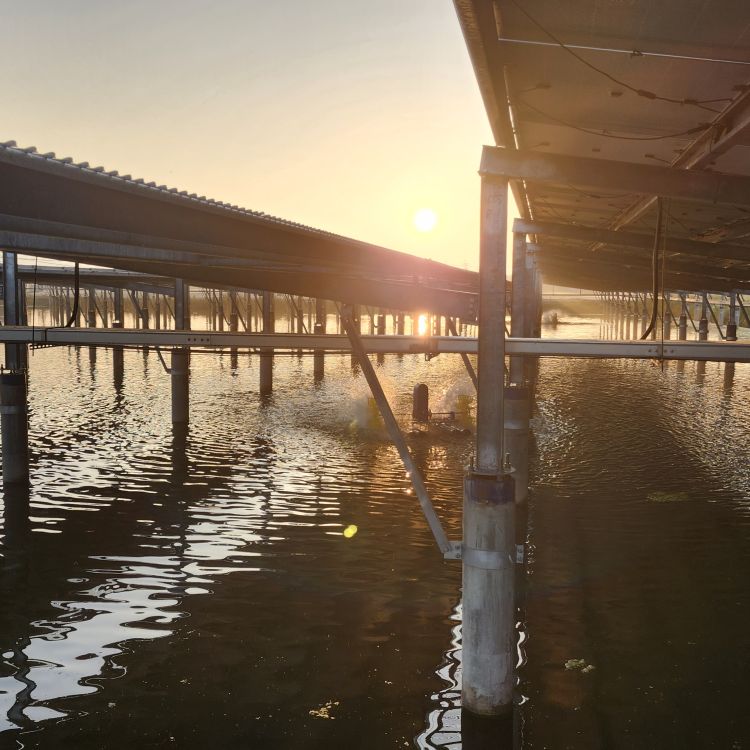 養殖經營及管理服務