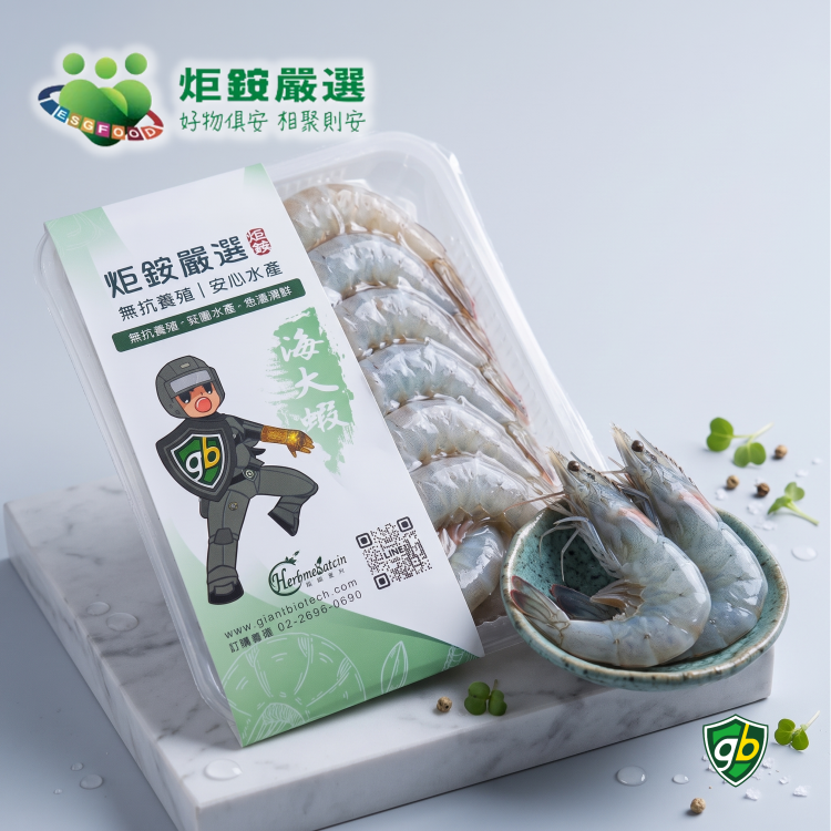 白蝦 (XL) 7-8尾 / 300g