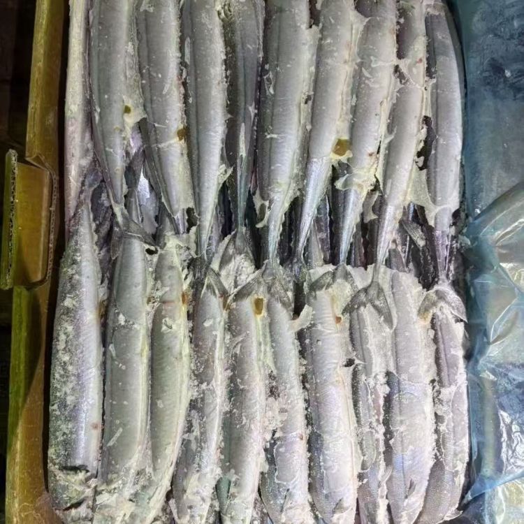 凍秋刀魚