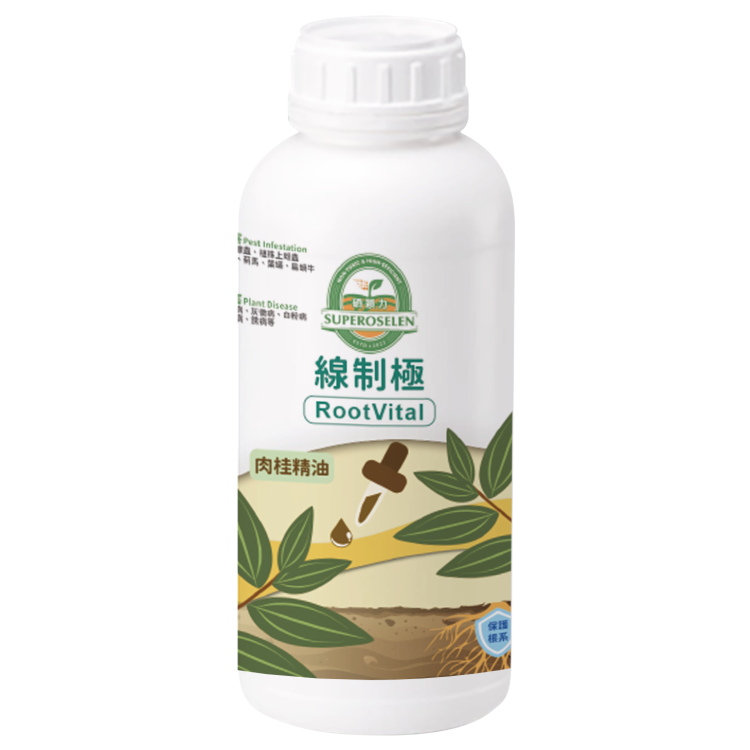 線制極 (肉桂苦茶萃取)｜Rootvital (Cinnamon and Camellia Extract)