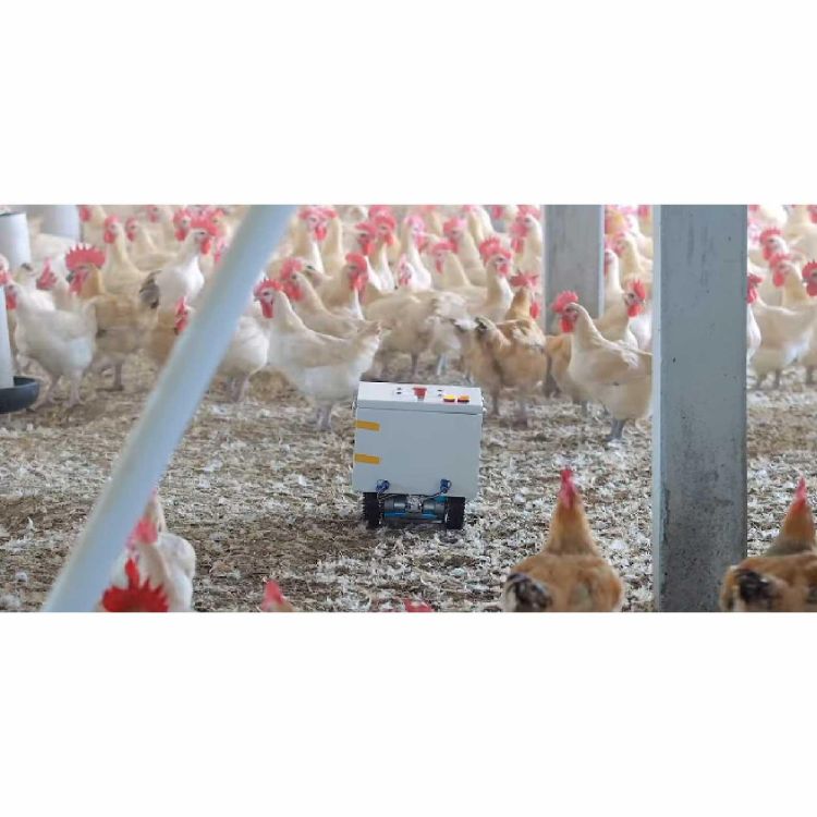 Autonomous Poultry Disturbance Robot (Patent I698173)